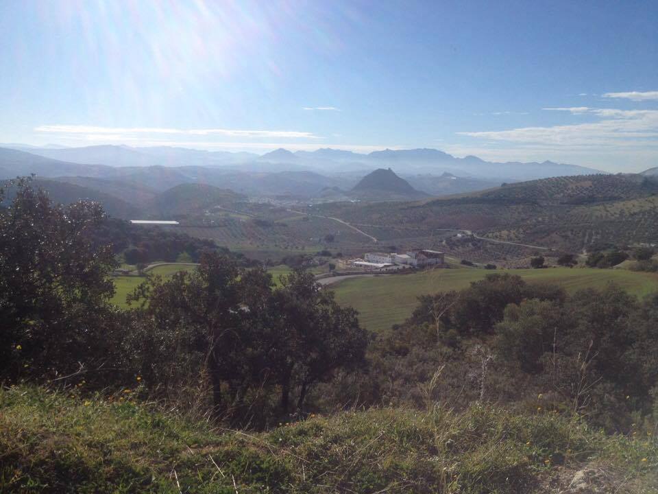 The countryside around Osuna, Andalucía